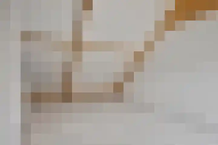 Wingtapper 1 Venhorst thumbnail 22