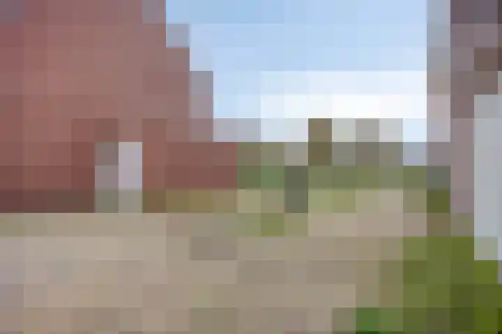 Wingtapper 1 Venhorst thumbnail 26