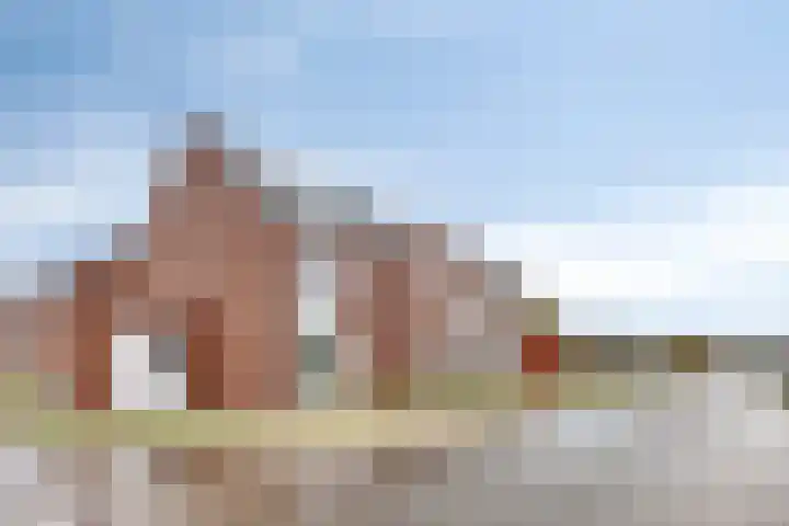 Wingtapper 1 Venhorst thumbnail 29
