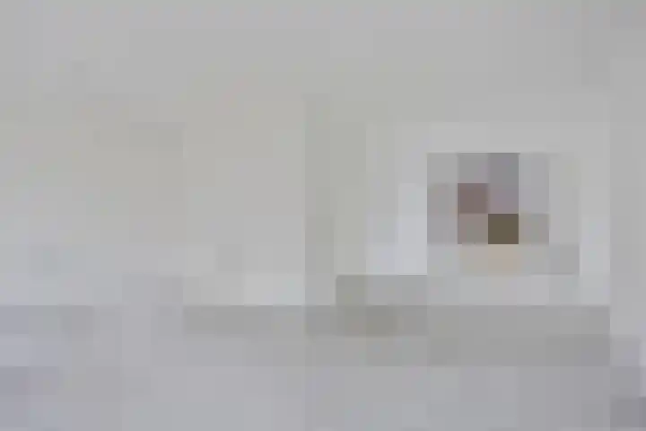 Wingtapper 1 Venhorst thumbnail 5