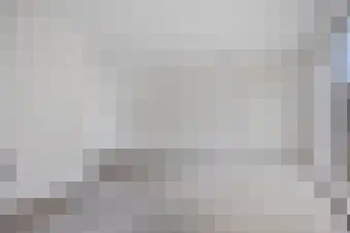 Wingtapper 1 Venhorst thumbnail 6