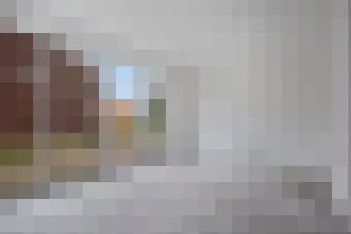 Wingtapper 1 Venhorst thumbnail 7