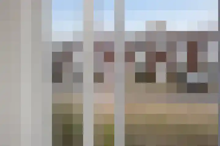 Wingtapper 1 Venhorst thumbnail 8