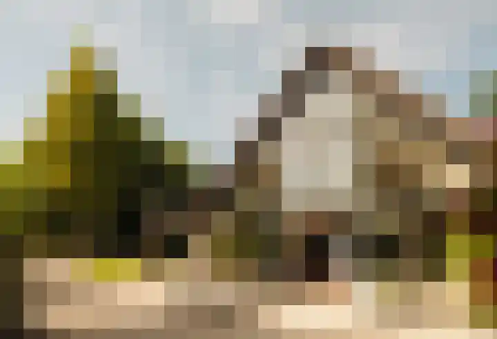 Winkeldijk 11 Abcoude thumbnail 10