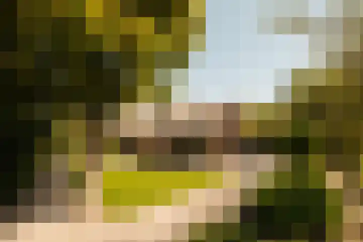 Winkeldijk 11 Abcoude thumbnail 12