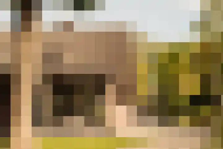 Winkeldijk 11 Abcoude thumbnail 13