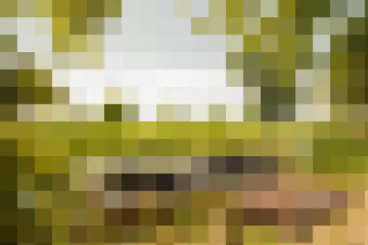 Winkeldijk 11 Abcoude thumbnail 18