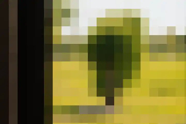 Winkeldijk 11 Abcoude thumbnail 42