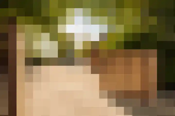 Winkeldijk 11 Abcoude thumbnail 51