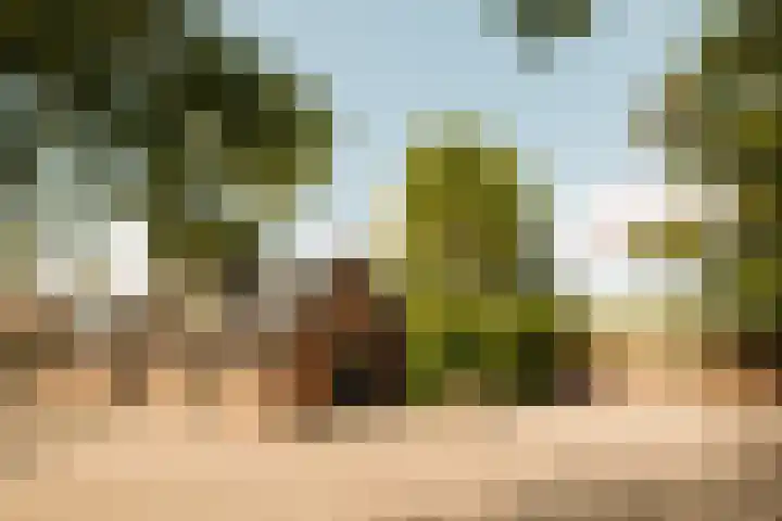 Winkeldijk 11 Abcoude thumbnail 53