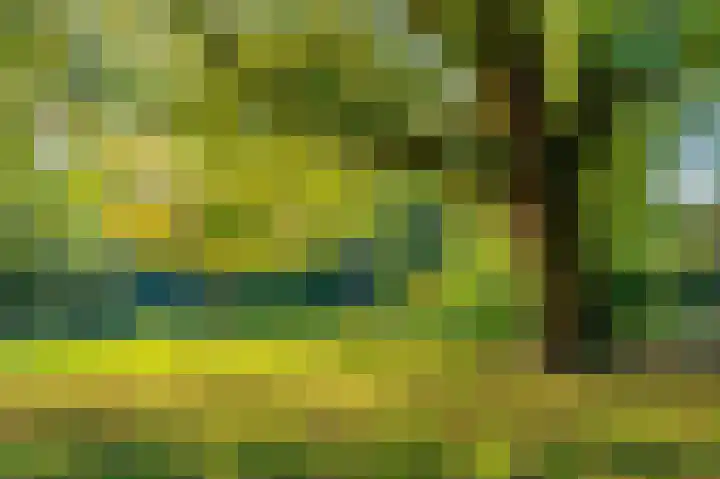 Winkeldijk 39 Abcoude thumbnail 11