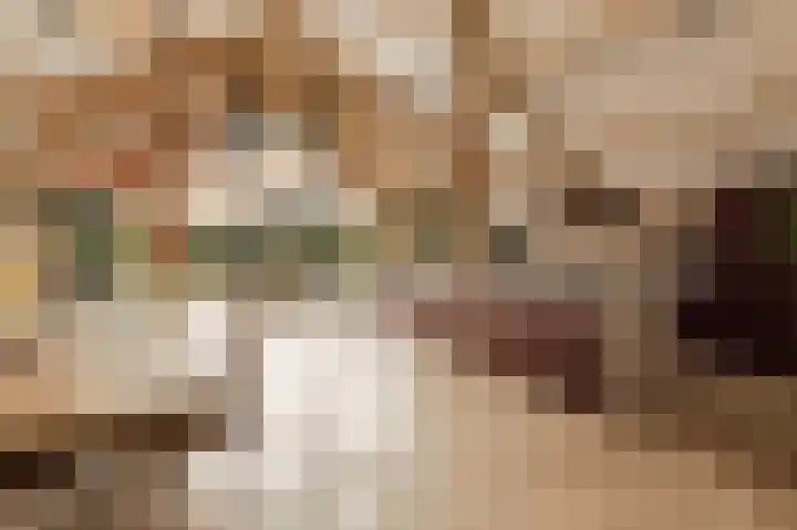 Winkeldijk 39 Abcoude thumbnail 17
