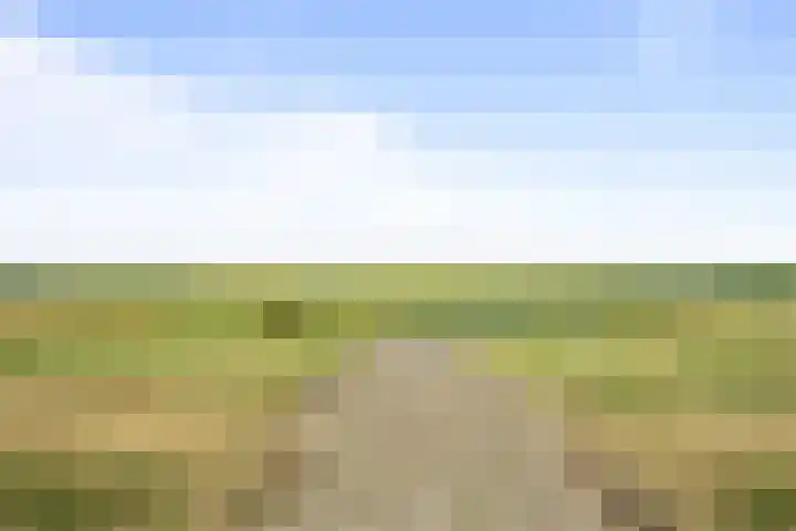 Winkeldijk 39 Abcoude foto 2