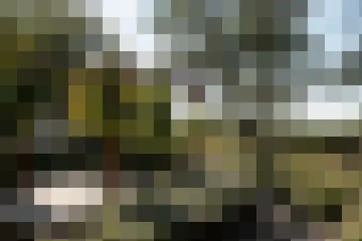 Winkeldijk 39 Abcoude thumbnail 31