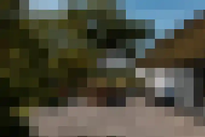 Winkeldijk 39 Abcoude thumbnail 43