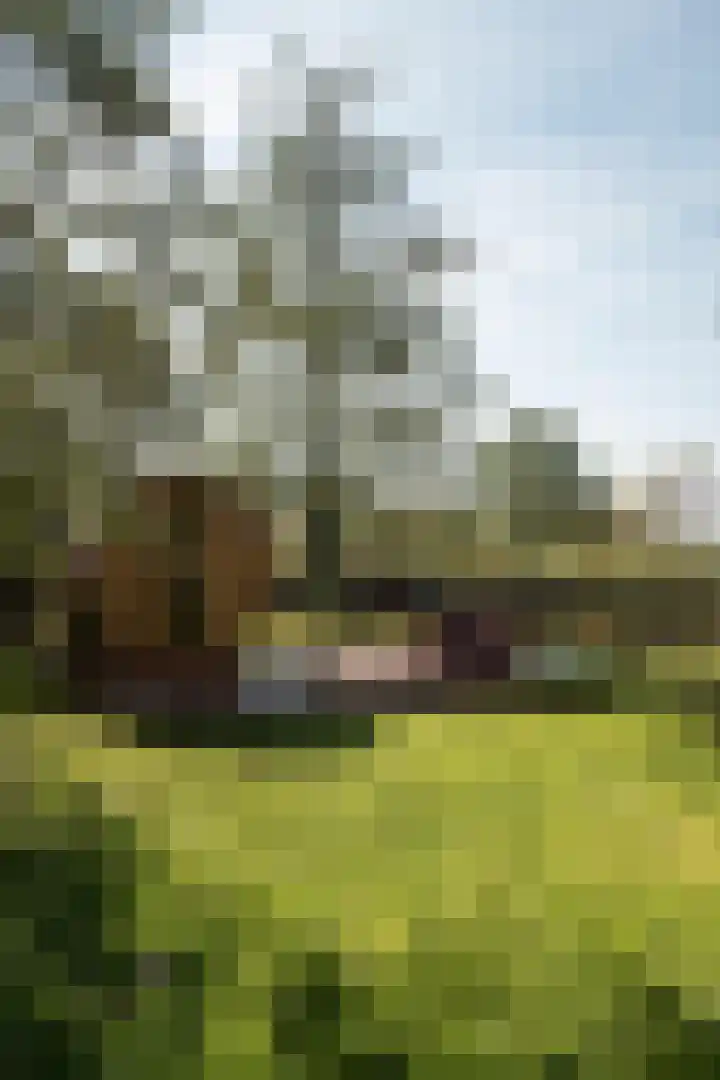 Winkeldijk 39 Abcoude thumbnail 45