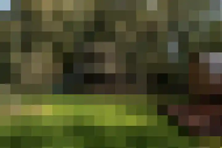 Winkeldijk 39 Abcoude thumbnail 47