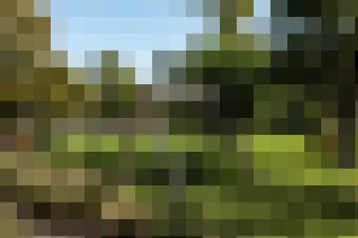 Winkeldijk 39 Abcoude thumbnail 49