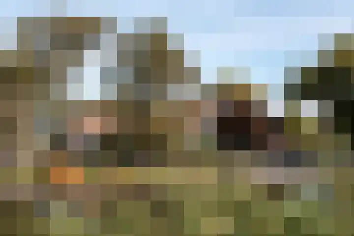 Winkeldijk 39 Abcoude thumbnail 5