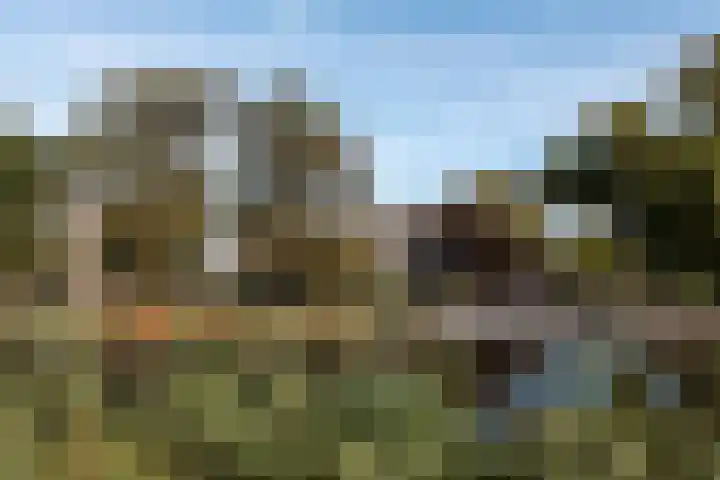 Winkeldijk 39 Abcoude thumbnail 56