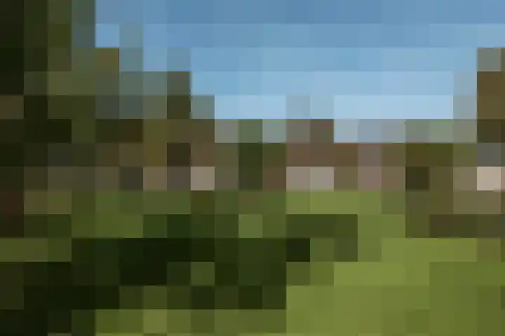 Winkeldijk 39 Abcoude thumbnail 59