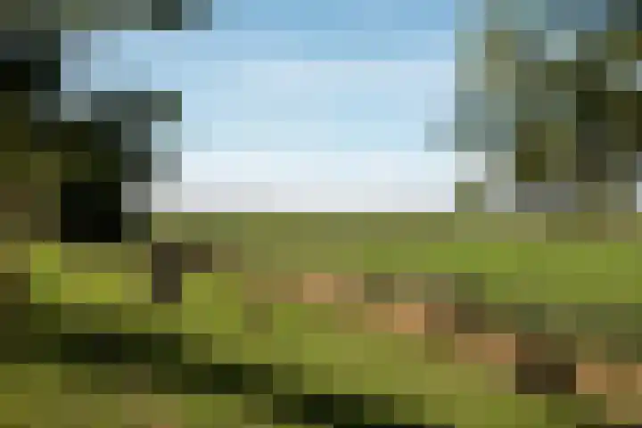Winkeldijk 39 Abcoude thumbnail 60
