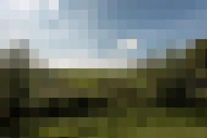 Winkeldijk 39 Abcoude thumbnail 61