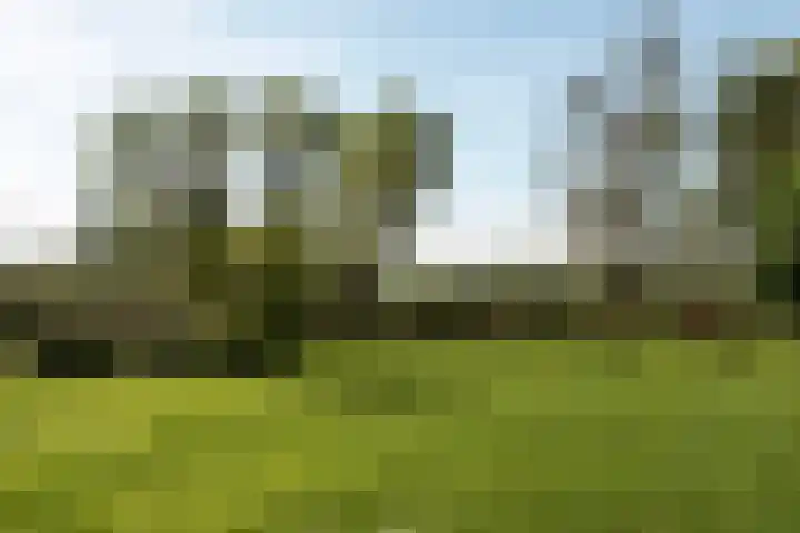 Winkeldijk 39 Abcoude thumbnail 62