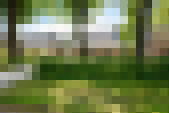 Winkeldijk 39 Abcoude thumbnail 63