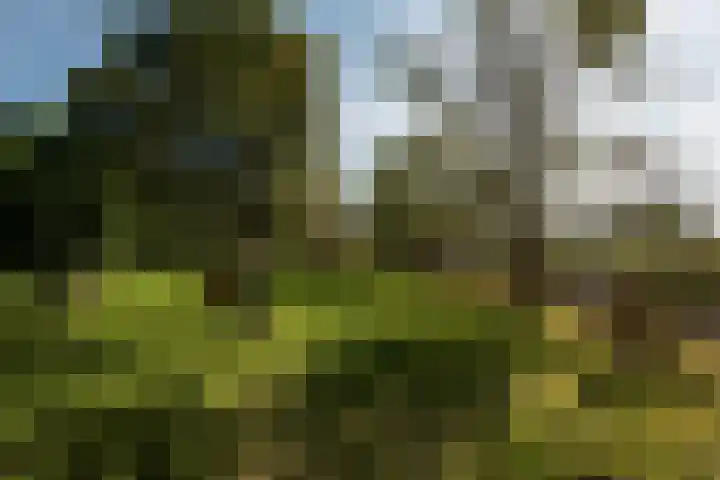Winkeldijk 39 Abcoude thumbnail 63