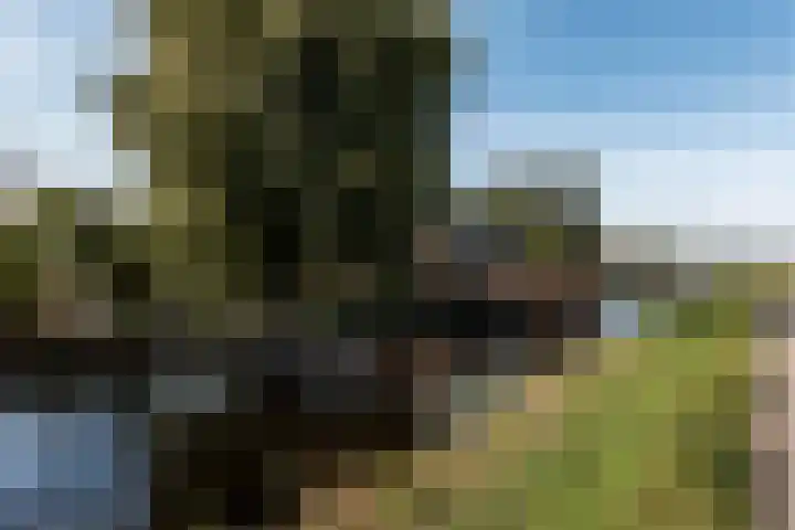 Winkeldijk 39 Abcoude thumbnail 65