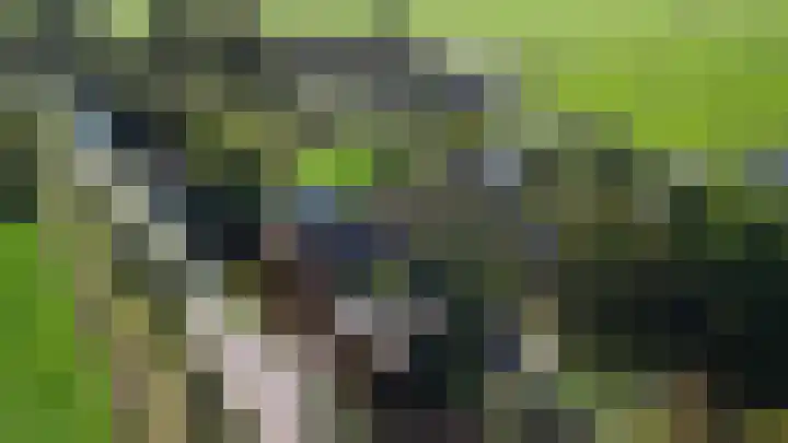 Winkeldijk 39 Abcoude thumbnail 73