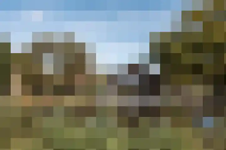 Winkeldijk 39 Abcoude thumbnail 8