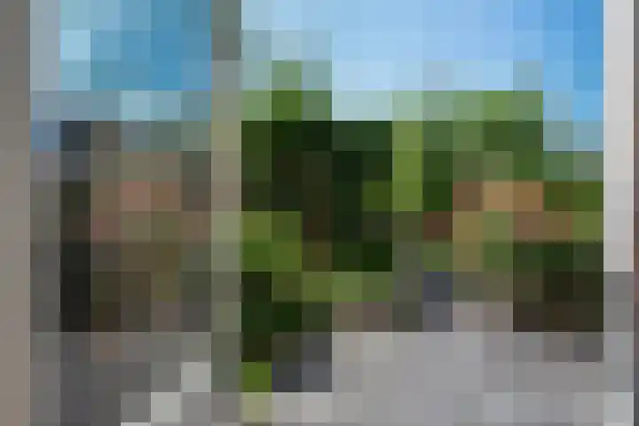 Winkelhoeve 16 Vlaardingen thumbnail 16