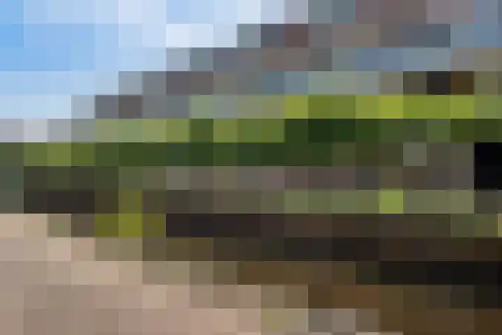 Winkelhoeve 16 Vlaardingen thumbnail 35