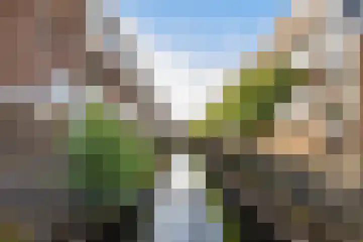 Winkelhoeve 32 Vlaardingen thumbnail 35