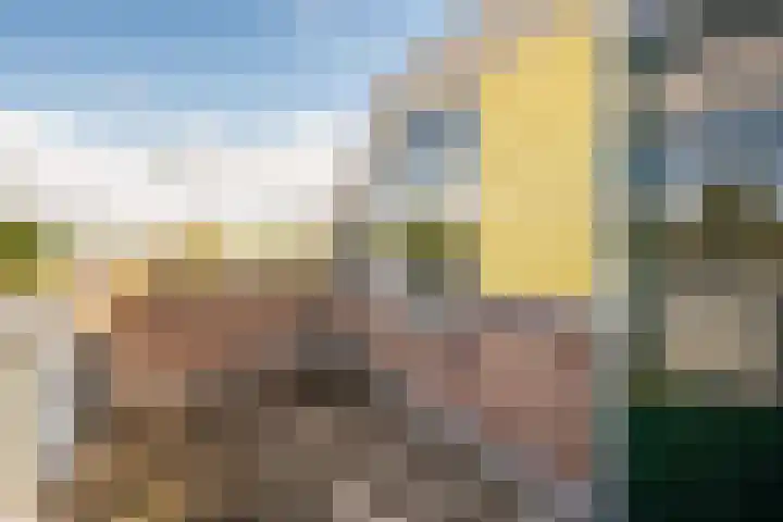 Winkelhoeve 32 Vlaardingen thumbnail 4