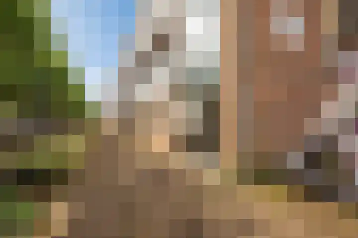 Winkelhoeve 32 Vlaardingen thumbnail 5