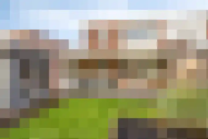 Winkelmolenstraat 2 Budel thumbnail 21