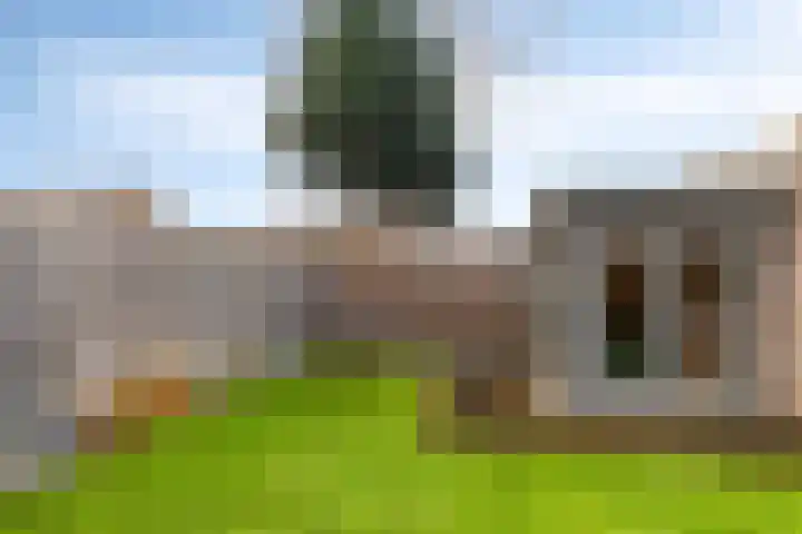 Winkelmolenstraat 2 Budel thumbnail 25
