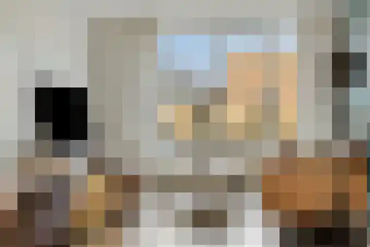 Winkelmolenstraat 2 Budel thumbnail 4