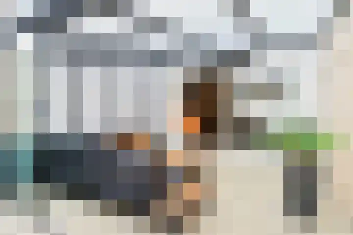 Winkelstede 3 Den Haag thumbnail 13