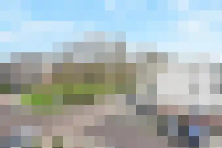 Winkelstede 3 Den Haag thumbnail 39