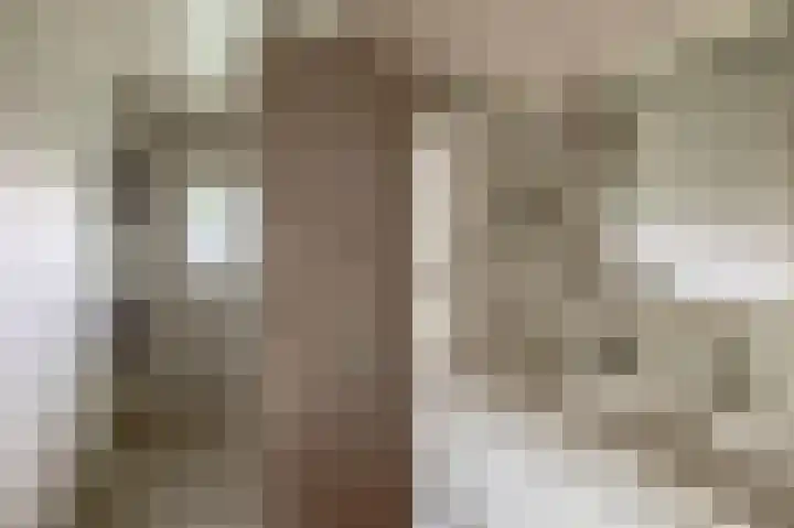 Winkelsteeg 2 Uffelte thumbnail 28