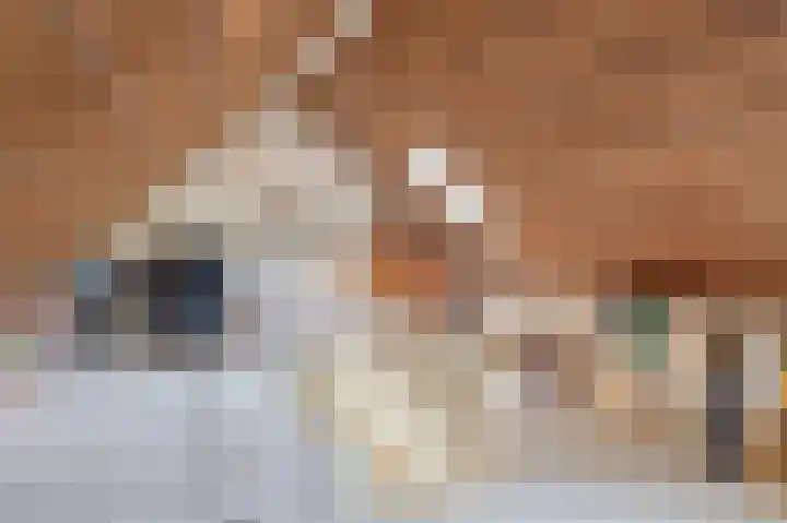 Winkelsteeg 2 Uffelte thumbnail 29