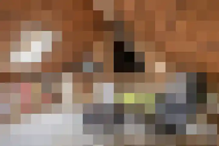 Winkelsteeg 2 Uffelte thumbnail 31