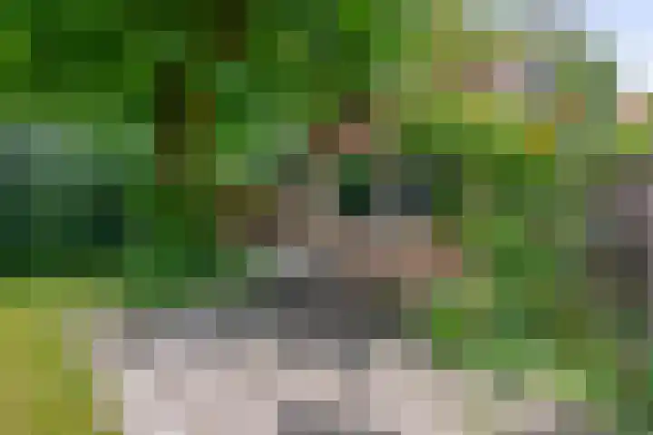 Winkelsteeg 2 Uffelte thumbnail 39