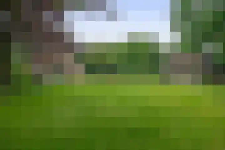 Winkelsteeg 2 Uffelte thumbnail 46