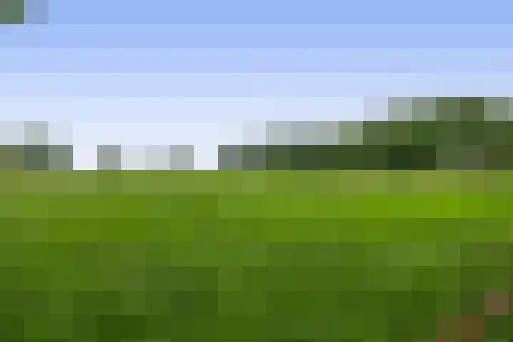 Winkelsteeg 2 Uffelte thumbnail 49