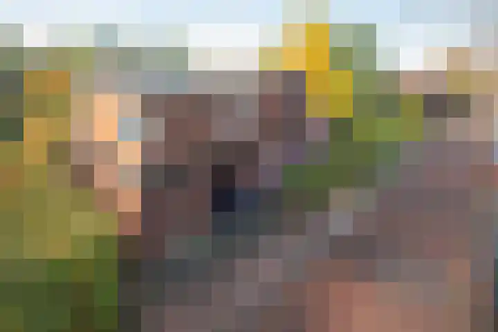Winkelsteeg 2 Uffelte thumbnail 5
